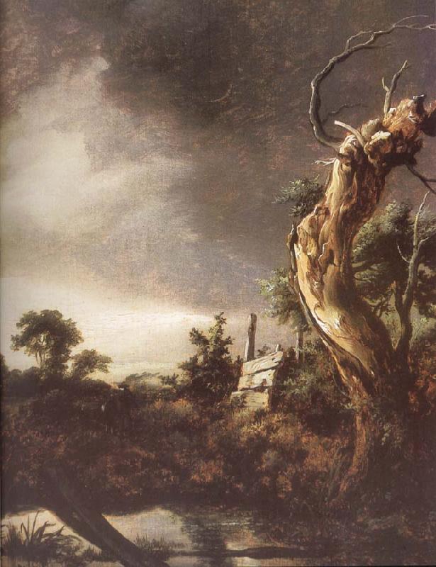 Jacob van Ruisdael Landscape during a Storm oil painting picture